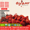 Best Organic Certificated Nutrition Goji Berry with high quality